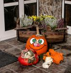 ... UND ERNTEDANK ... UND ERNTEDANK