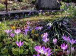 FRÜHLING 2019 FRÜHLING 2019