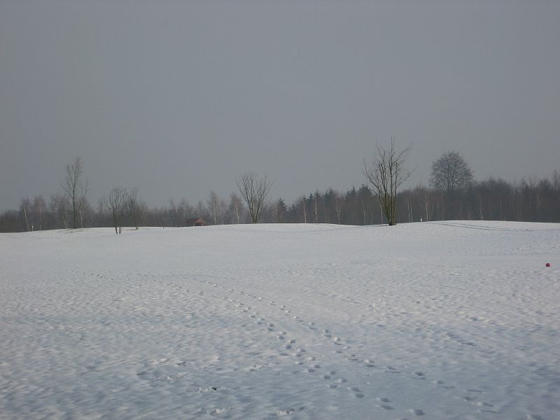 Spuren im Schnee ...