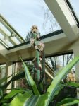 Drachenlilie