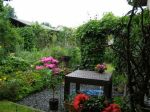 Blick bei Regen in den Garten