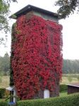 Ein Turm im Herbstkleid