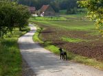 Der Weg