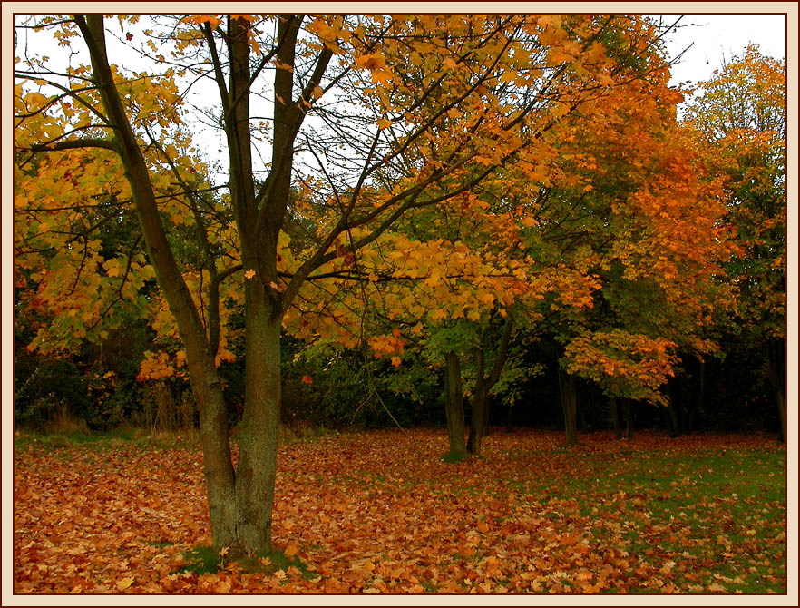 ABSCHIED VOM OKTOBER