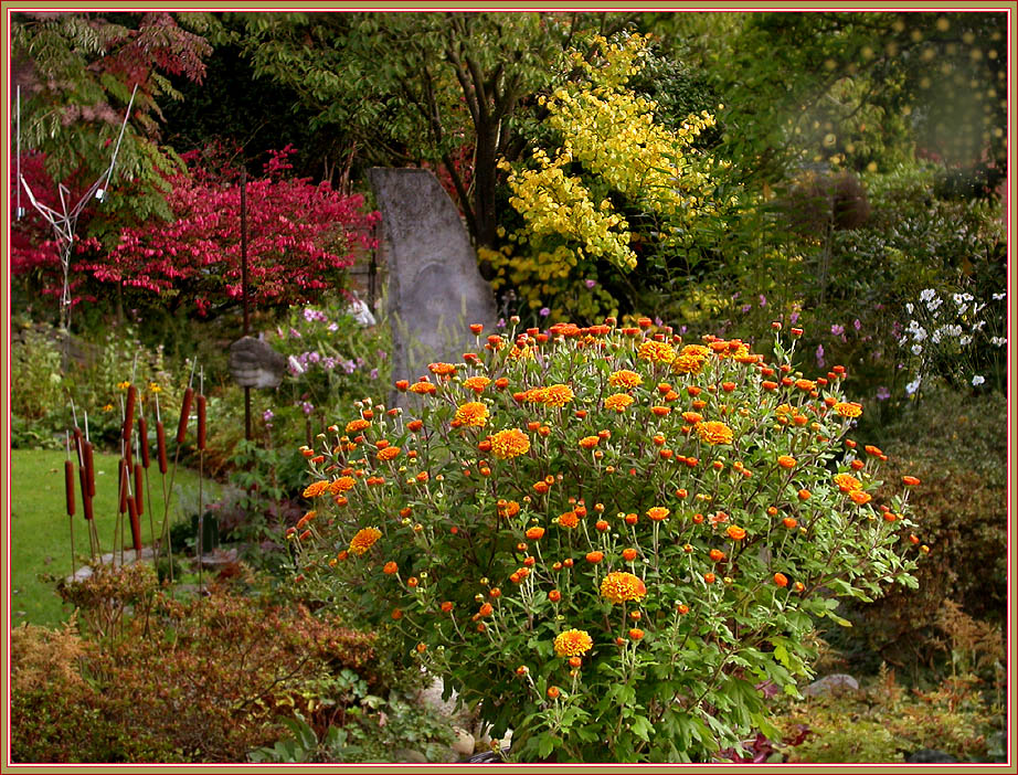 HERBSTLICHER GARTENEINBLICK