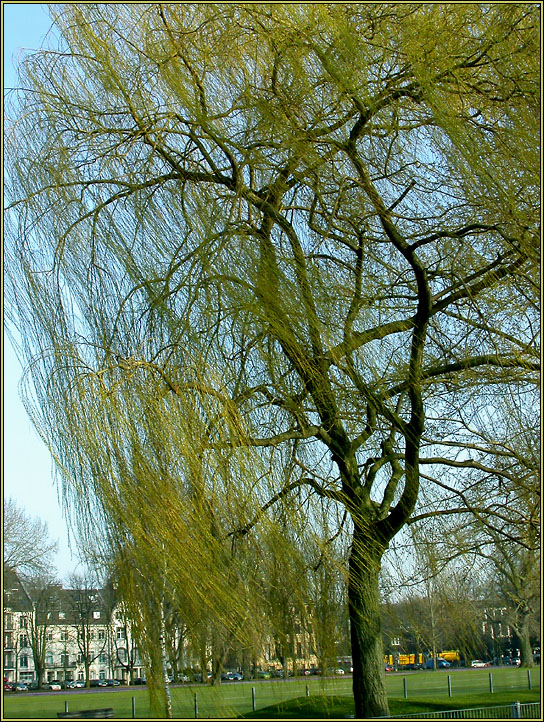 FRÜHLING IN DER GROSSSTADT 5