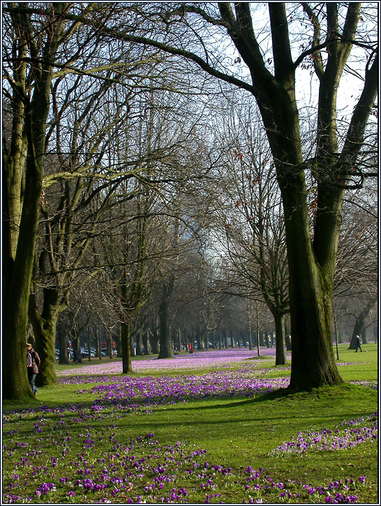 FRÜHLING DER IN GROSSSTADT 2