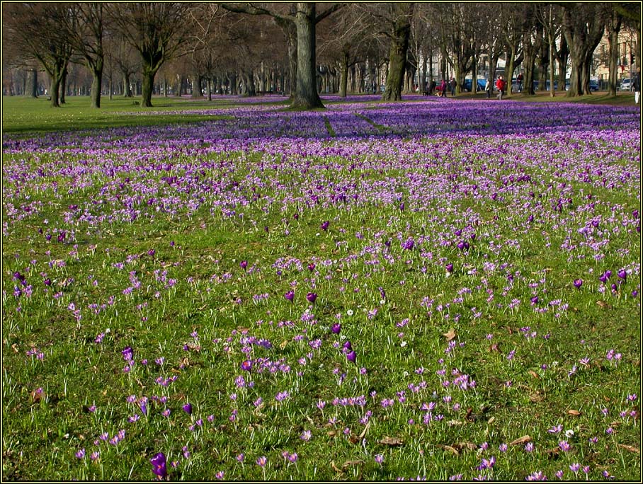 FRÜHLING IN DER GROSSSTADT 3