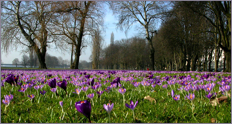 FRÜHLING IN DER GROSSSTADT 4