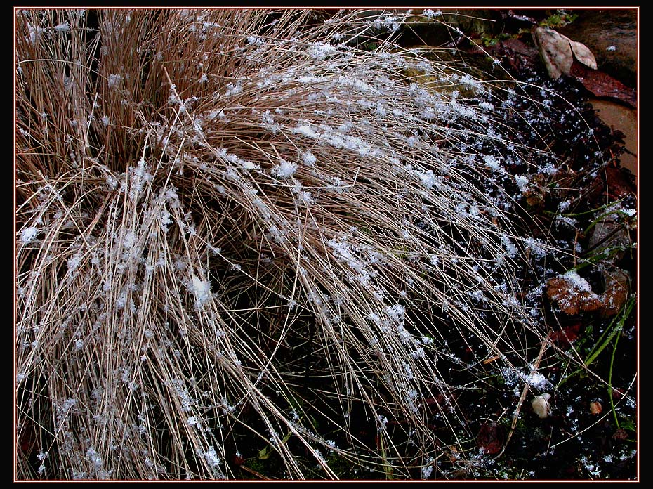 LEICHTER SCHNEEFALL