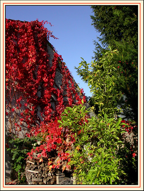 HERBSTFEUER