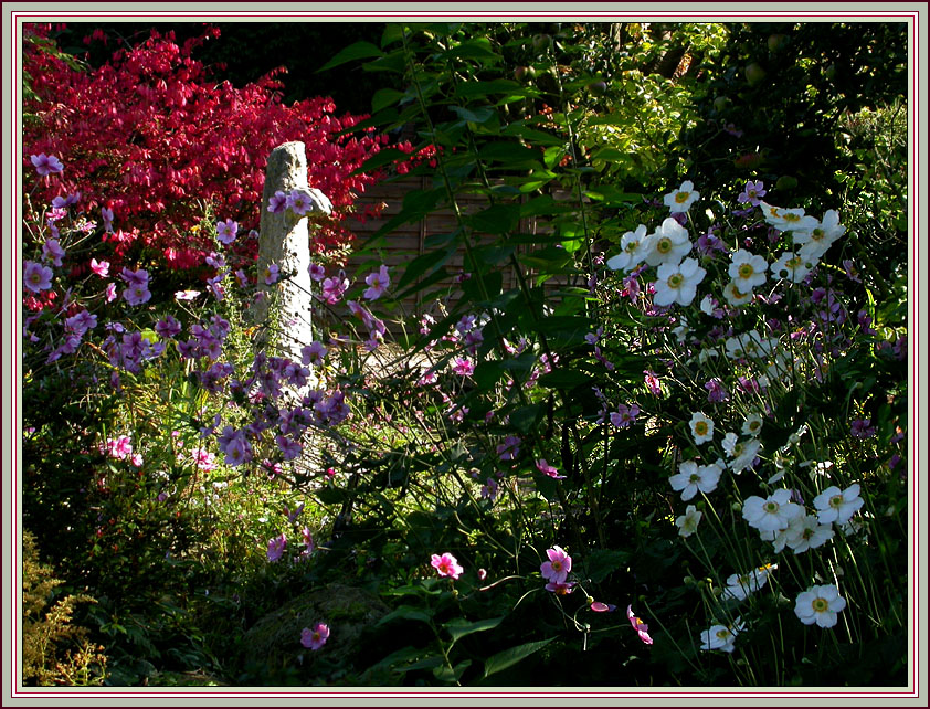 HERBSTLICHES FARBENSPIEL