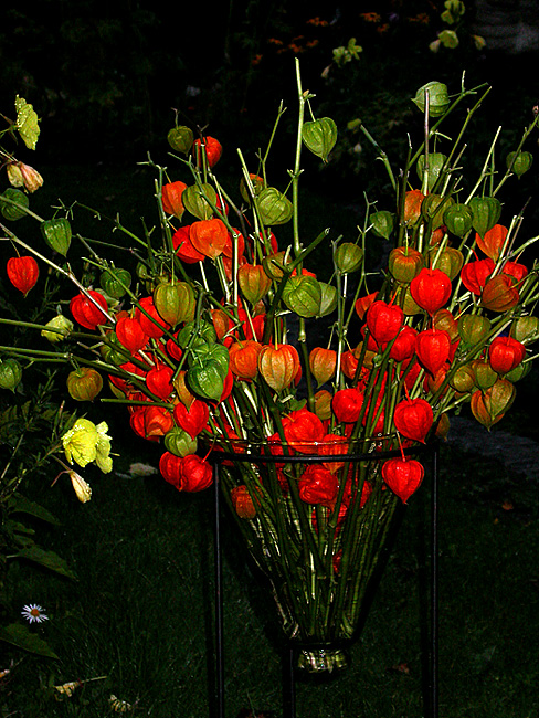 LATERNE, LATERNE ...