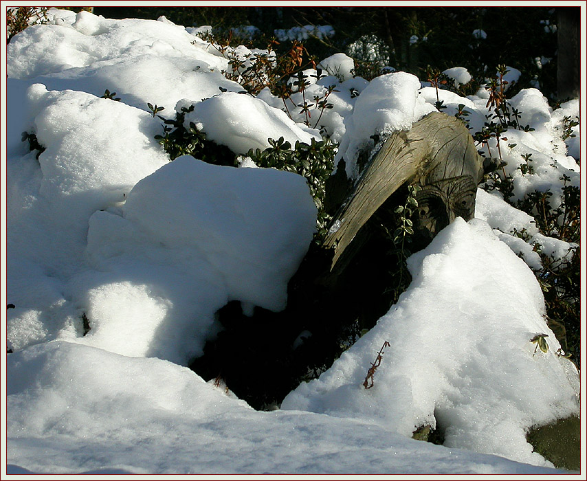 DER "SCHNEETROLL"