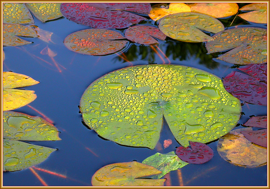 HERBSTLICHER MORGEN