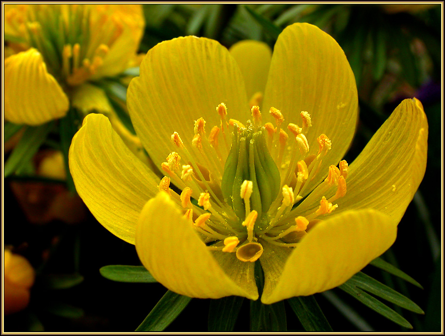 FRÜHLING 2011