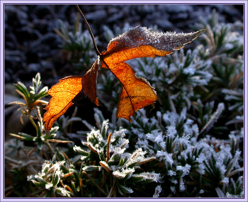 SONNIG-WINTERLICH