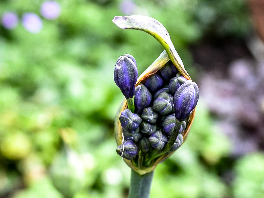 NACH DEM REGEN