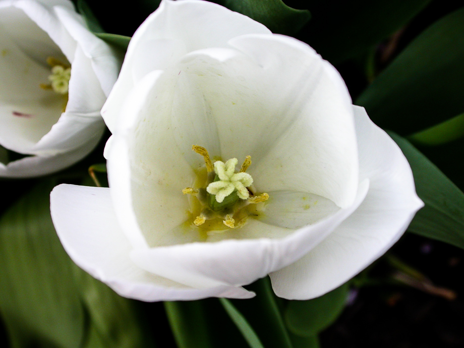 LUST AUF FRÜHLING