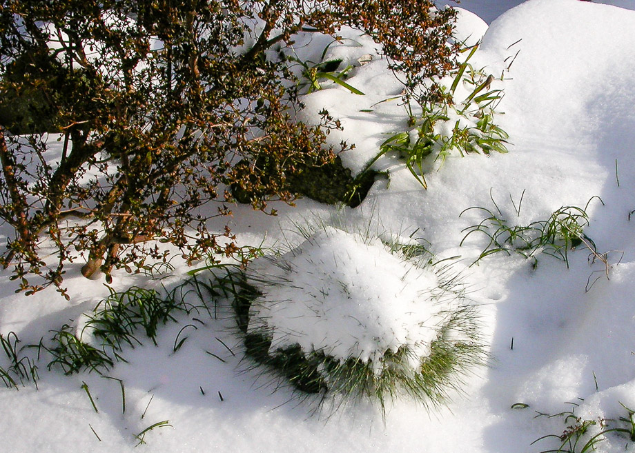 SCHNEEHAUBEN