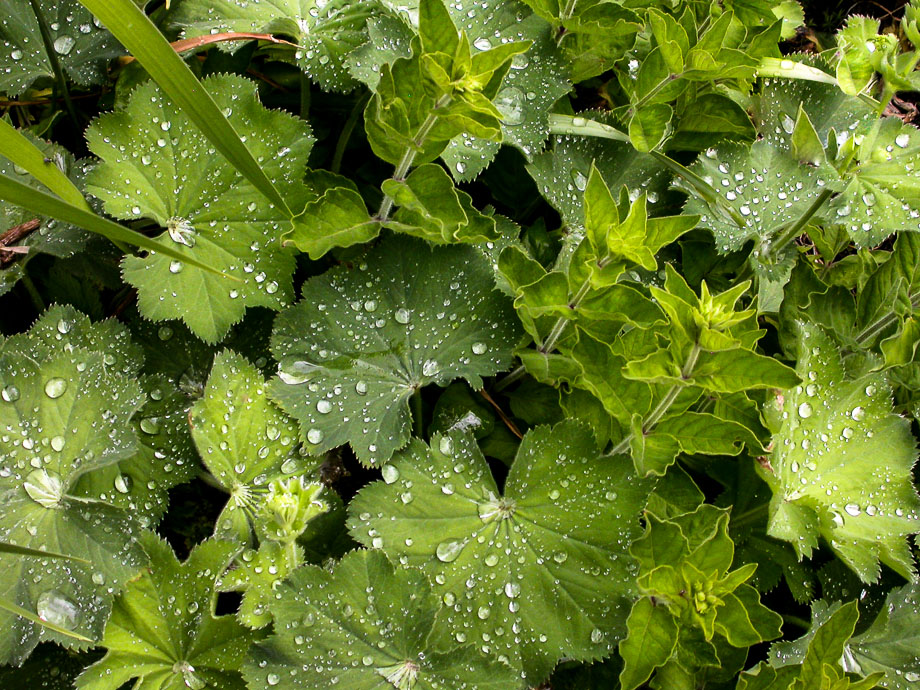 ZWISCHEN SONNENSCHEIN UND REGEN