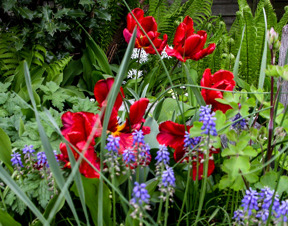 LUST AUF FRÜHLING