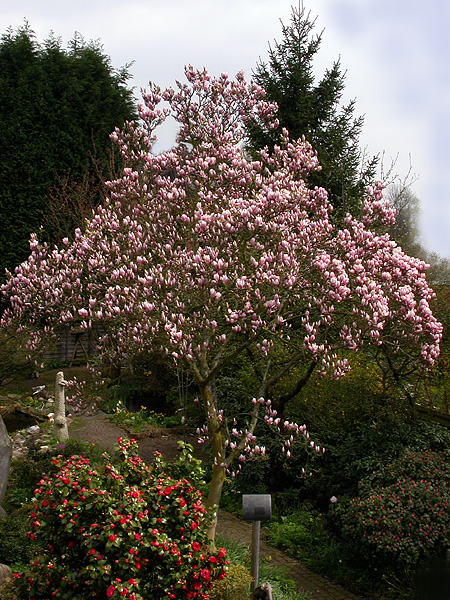 LUST AUF FRÜHLING