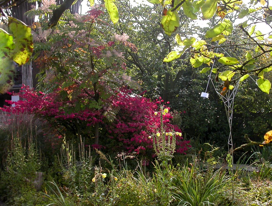 UNTER DEM APFELBAUM