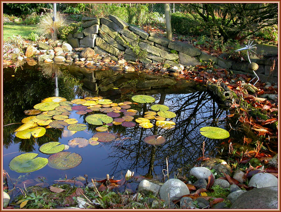 HERBSTSONNE