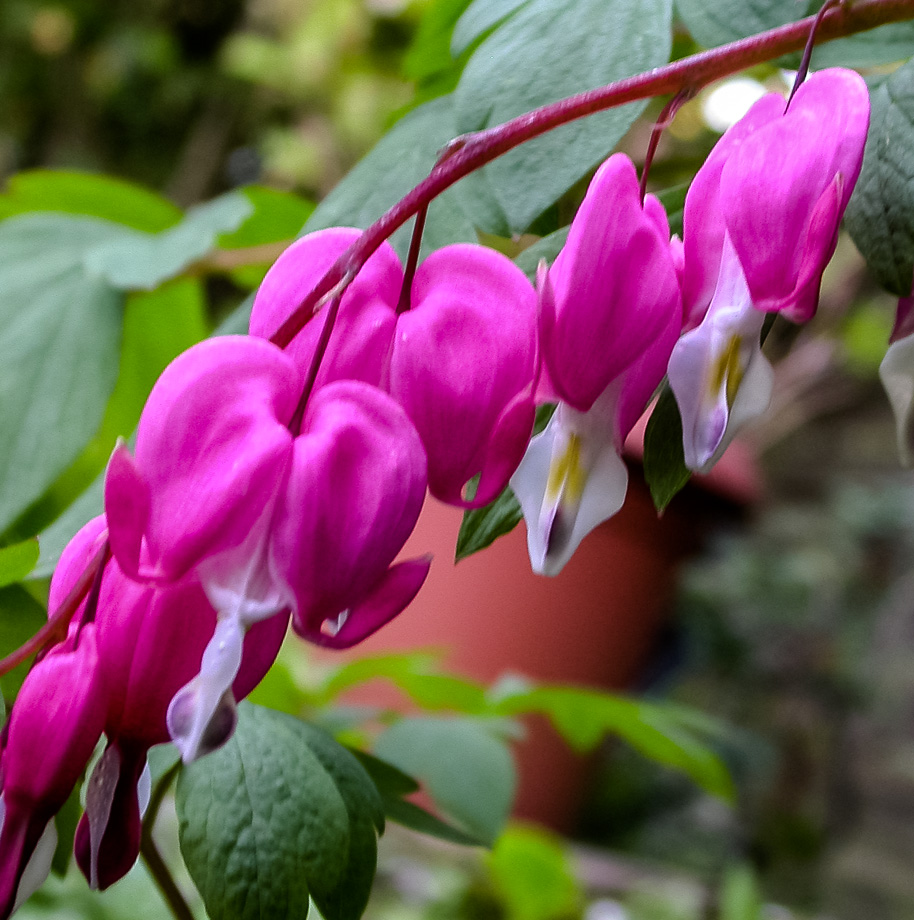 LUST AUF FRÜHLING