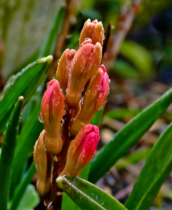 APRILWETTER