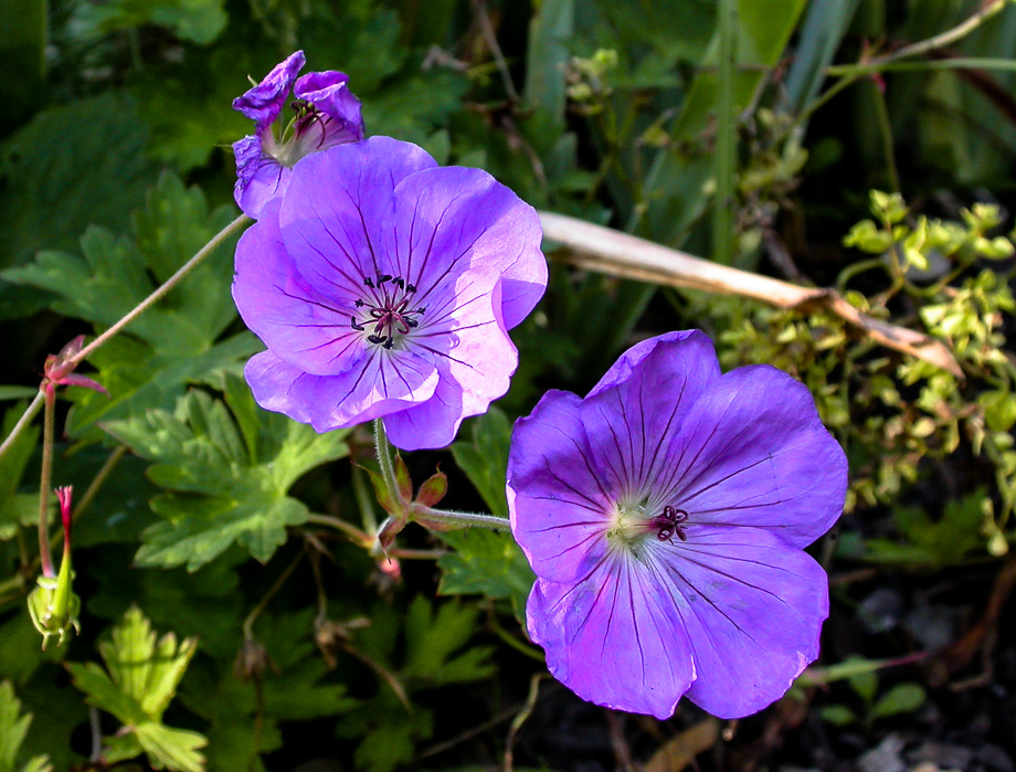 ABSCHIED VOM SOMMER