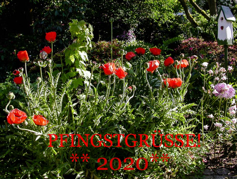 PFINGSTEN 2020