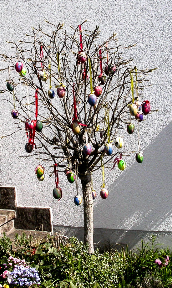 OSTEREIERBAUM