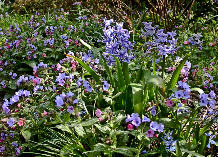 GARTENRUNDGANG 1