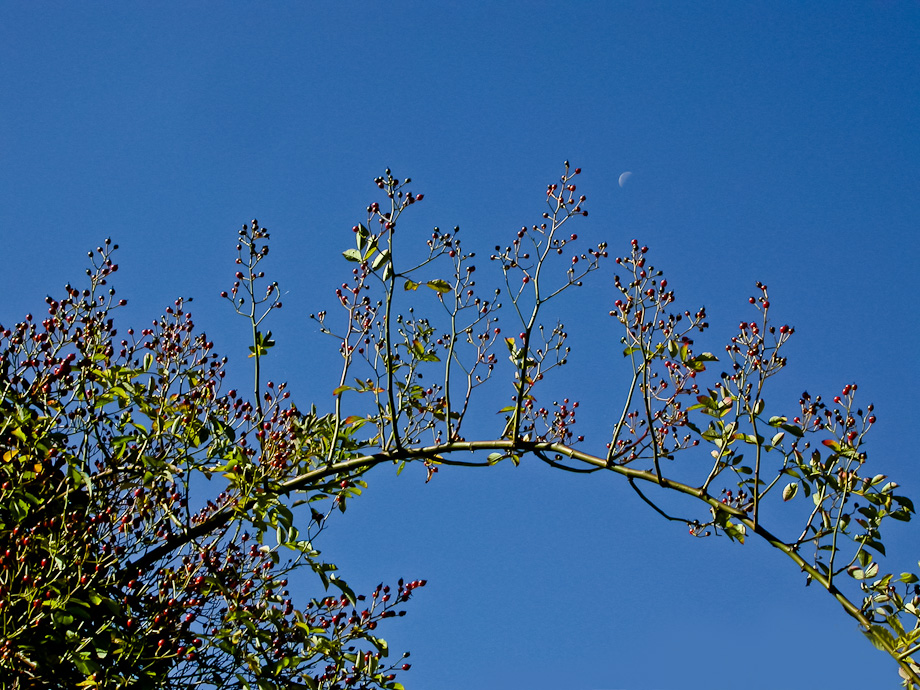 HERBSTBOTEN