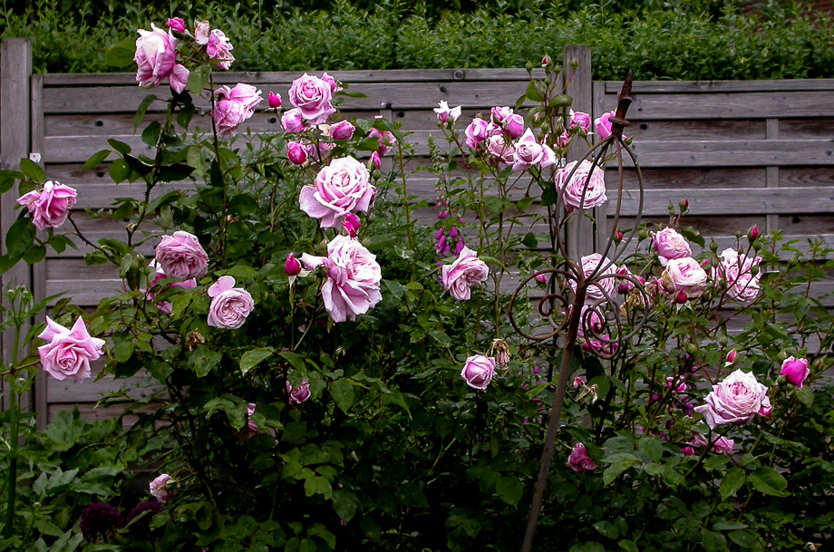 ZWISCHEN SONNENSCHEIN UND REGEN