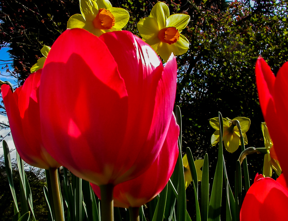 LICHT UND SCHATTEN