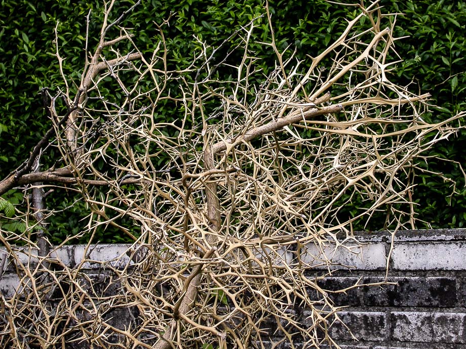 ZWISCHEN SONNENSCHEIN UND REGEN