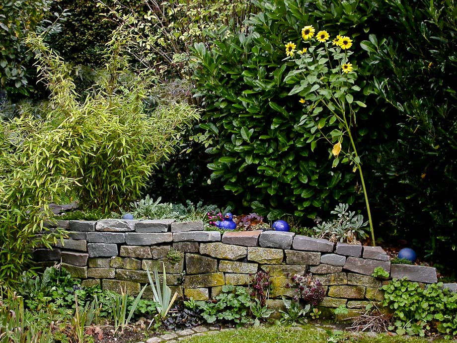 Eine Sonnenblumengeschichte ...