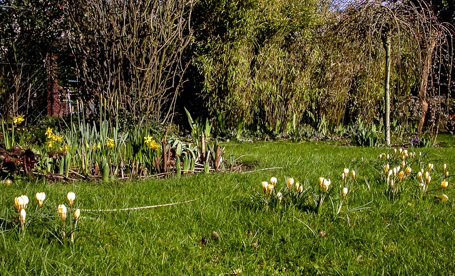 TULPENSONNTAG ROSENMONTAG VEILCHENDIENSTAG