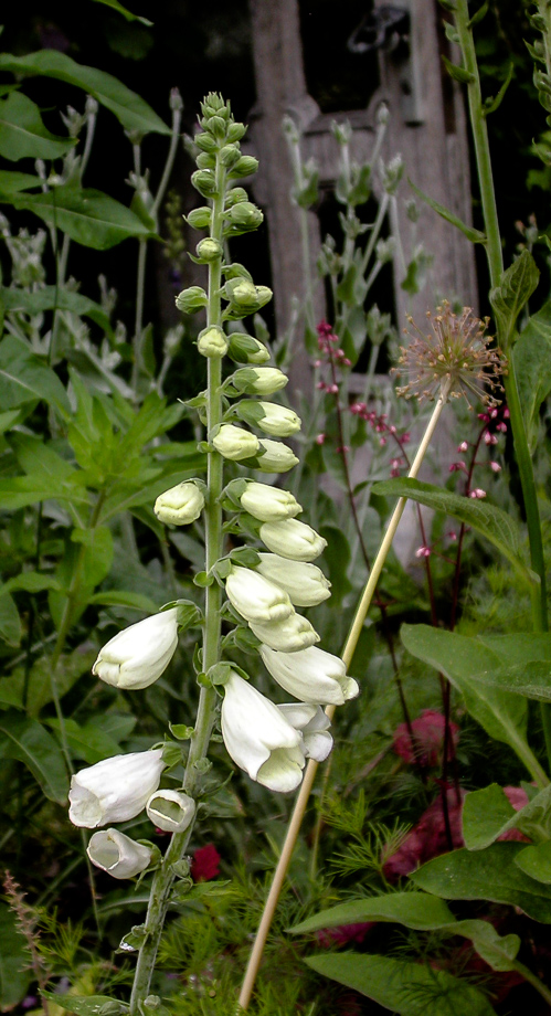 ZWISCHEN SONNENSCHEIN UND REGEN