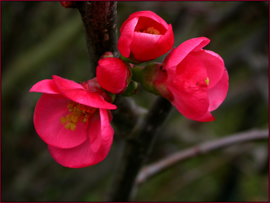 FARBE IM JANUAR