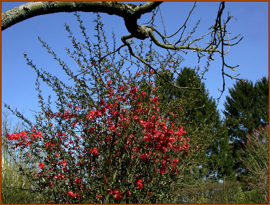 FRÜHLING 2011