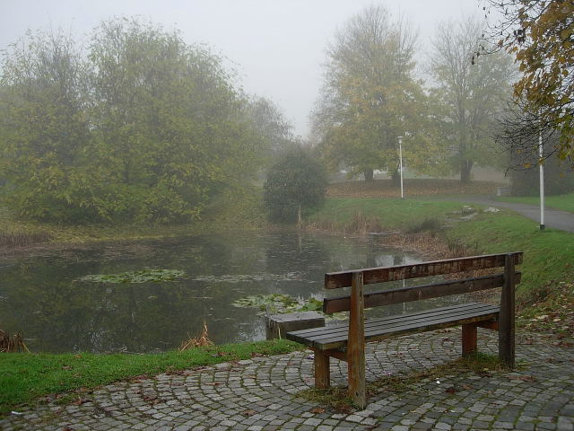 Morgenstille am Teich