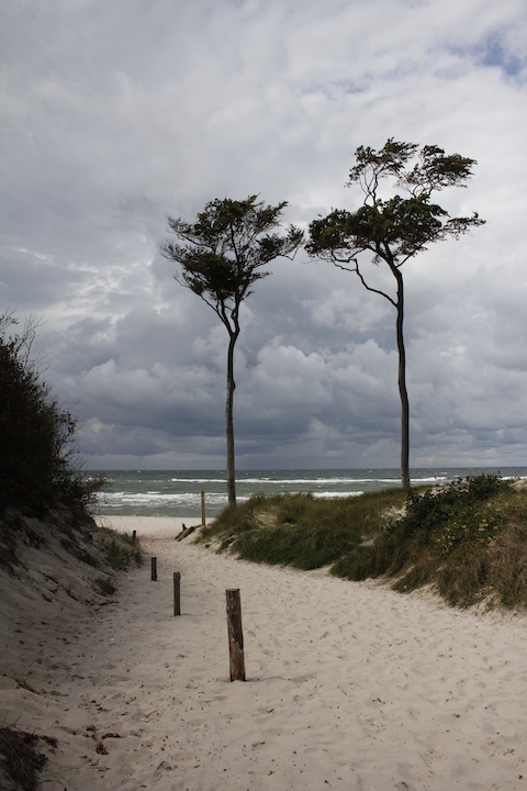 Weststrand auf der Halbinsel Fischland DarÃŸ an der Ostsee