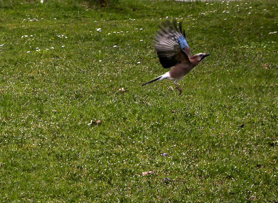 PARK ZÜRICH