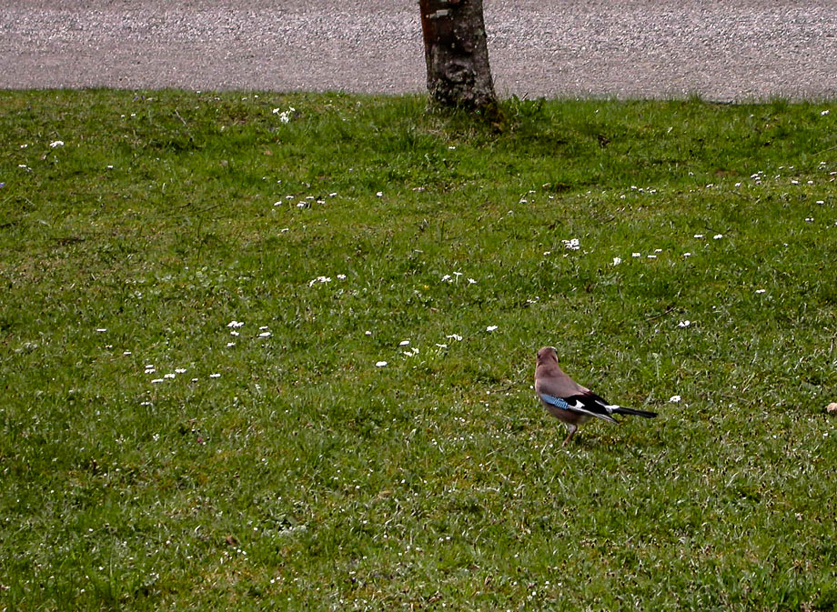 PARK ZÜRICH