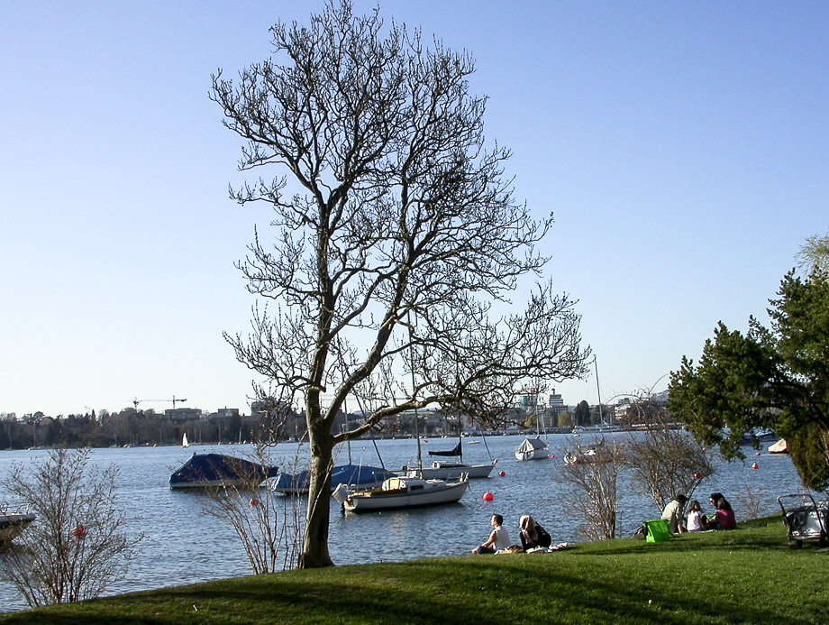 AM ZÜRICHSEE