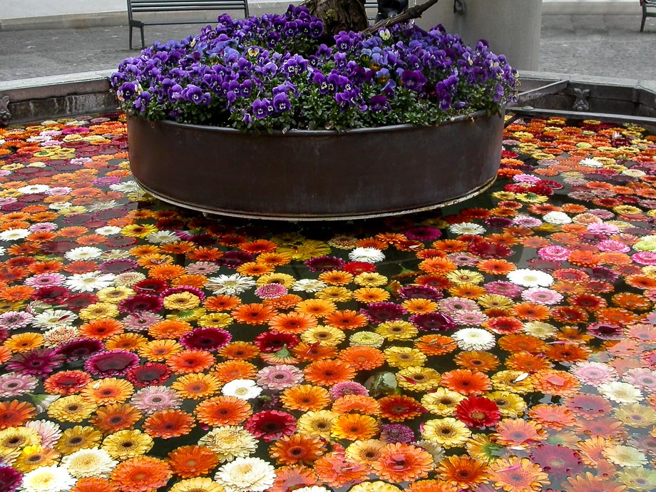 OSTERBRUNNEN - BLUMENBRUNNEN